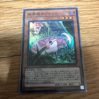 未界域のツチノコ