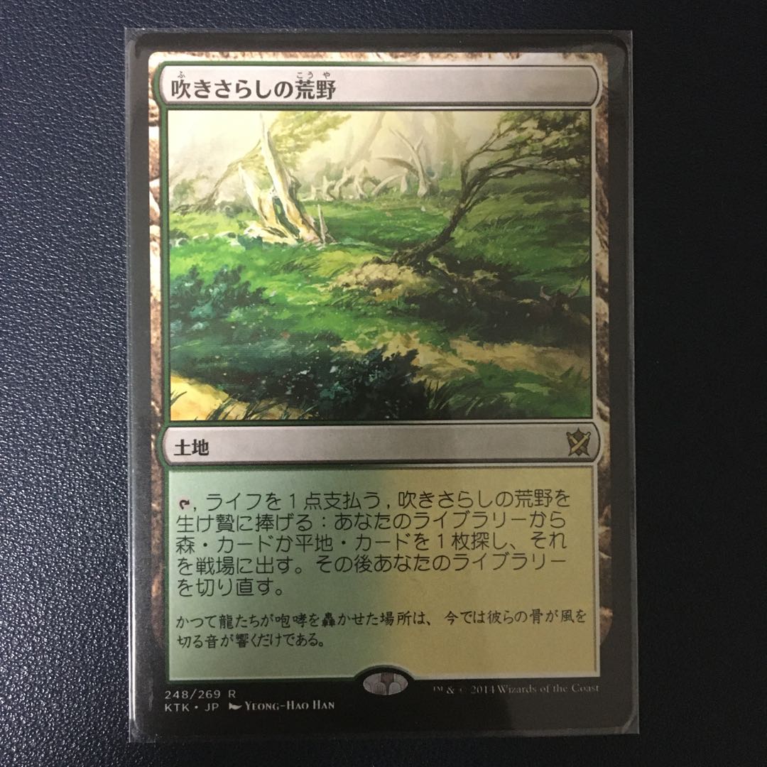 【つばさ様専用】吹きさらしの荒野・儚い存在