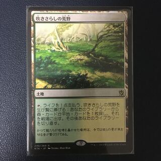 【つばさ様専用】吹きさらしの荒野・儚い存在