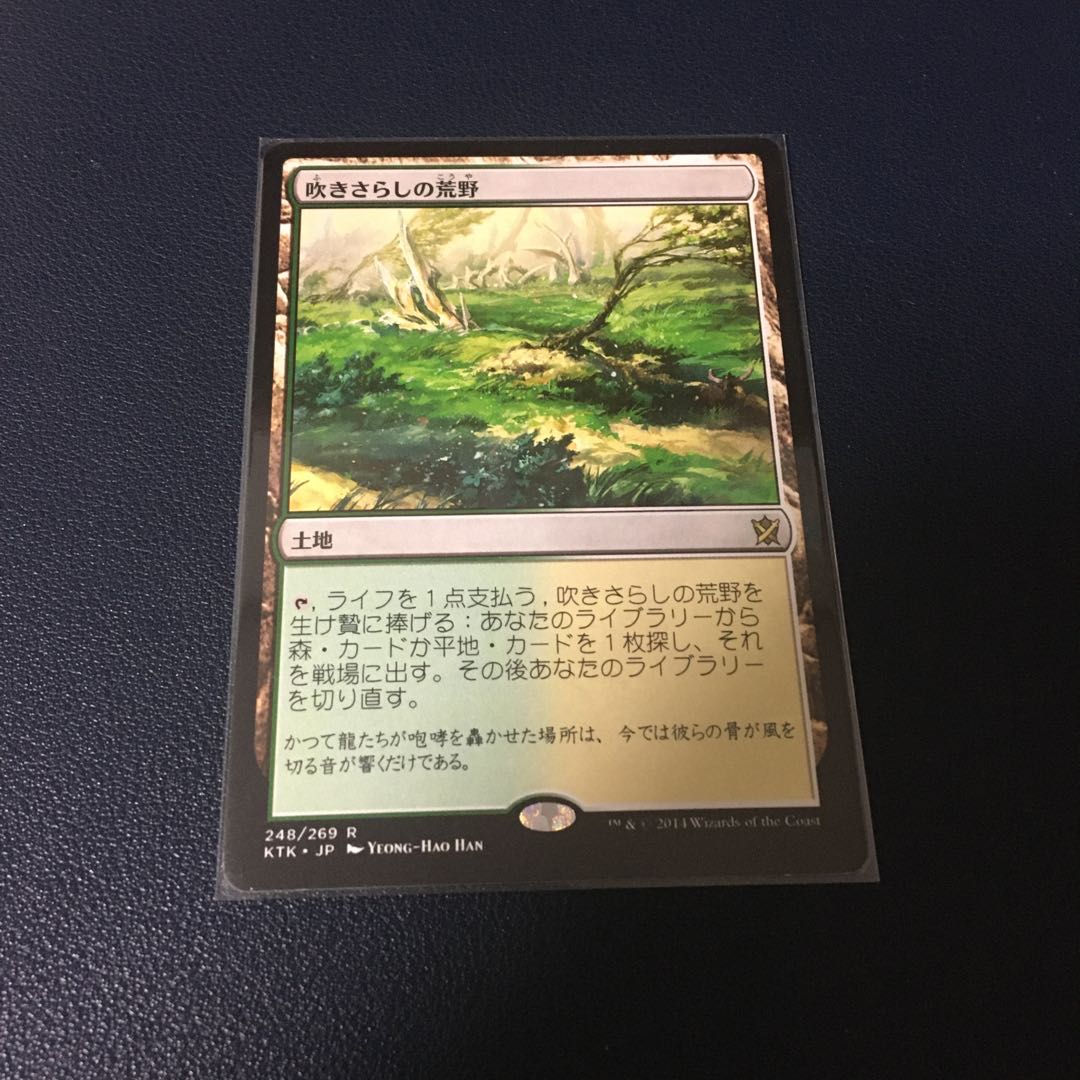 【つばさ様専用】吹きさらしの荒野・儚い存在