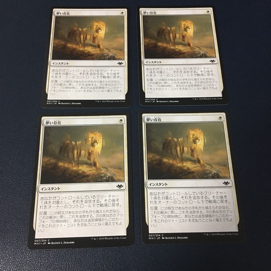 【つばさ様専用】吹きさらしの荒野・儚い存在