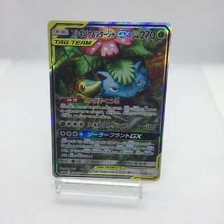 専用 アンズsr フシギバナ＆ツタージャGX SR 傷あり