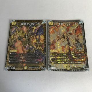 煌龍 サッヴァーク　2枚