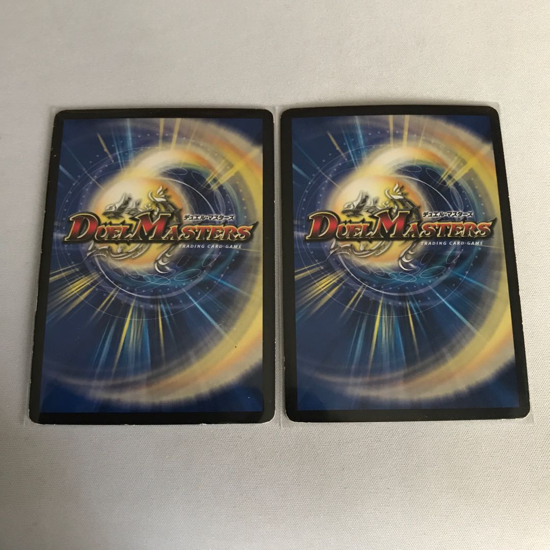 煌龍 サッヴァーク　2枚 2枚