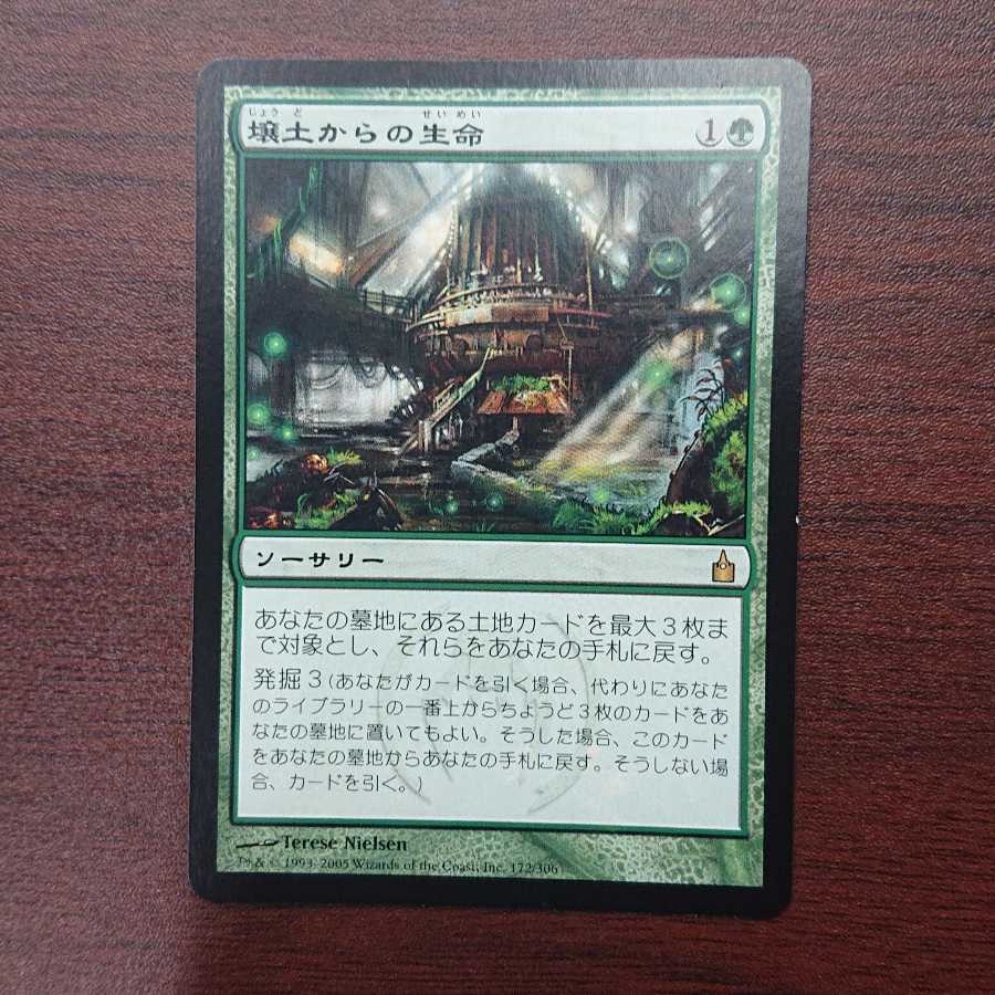 MTG Life from the Loam [RAV].