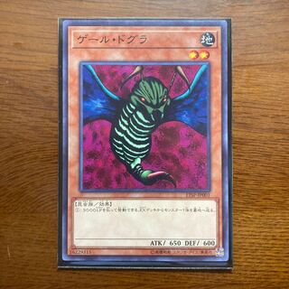 ゲール・ドグラ