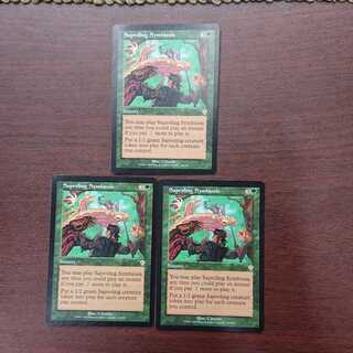 MTG  菌獣の共生 英語版 3枚セット