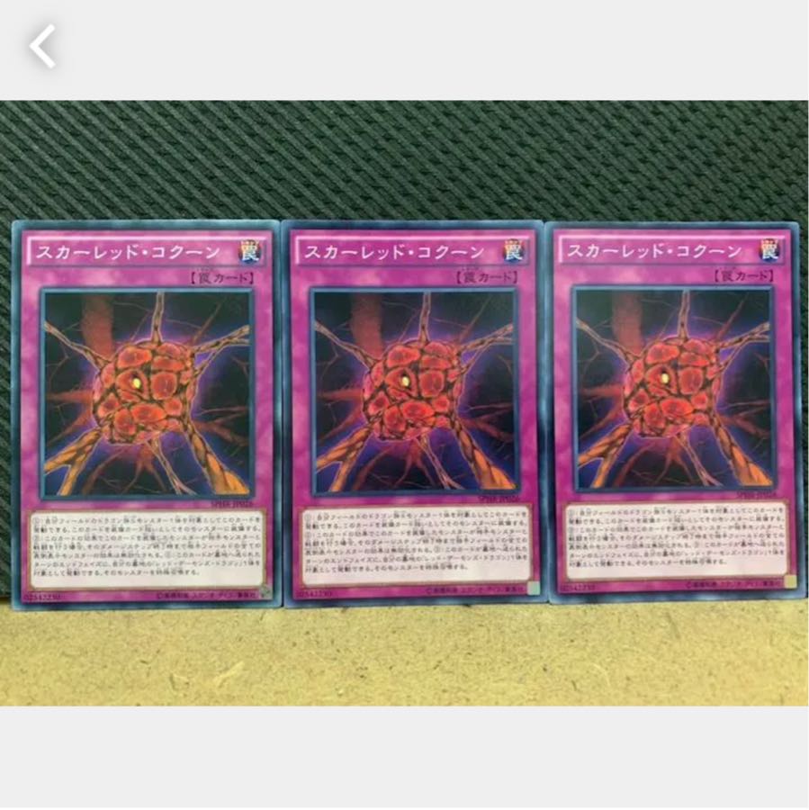 【ぽぽたん】遊戯王 2053 スカーレッド・コクーン 3枚 ノーマル