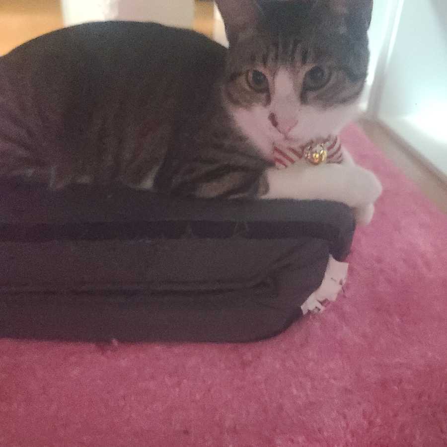 おっくん様専用福袋