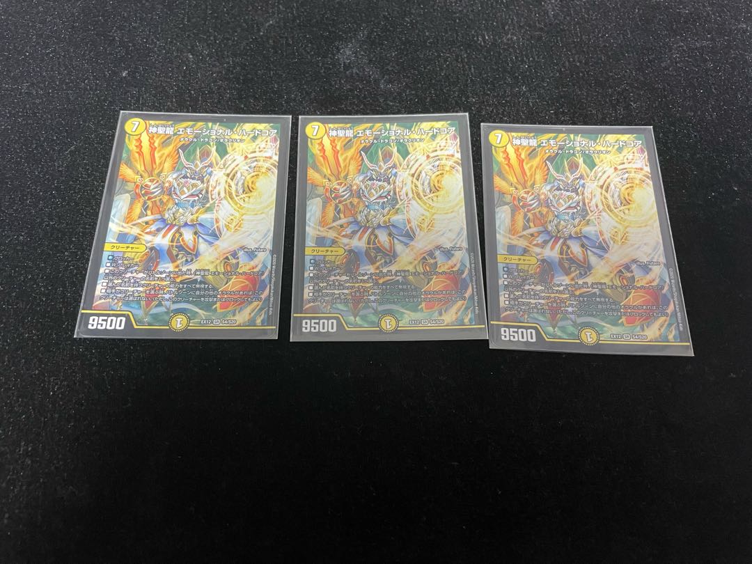 神聖龍 エモーショナル・ハードコア SR