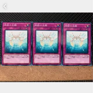 【ぽぽたん】遊戯王 1940 奇跡の光臨 3枚 ノーマル