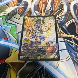 神聖龍 エモーショナル・ハードコア SR