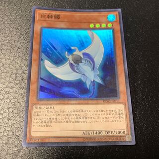 ホワイト・スティングレイ スーパーレア