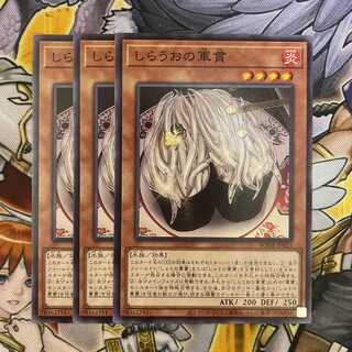 しらうおの軍貫 ノーマル