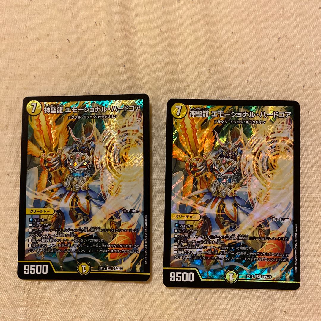 神聖龍 エモーショナル・ハードコア