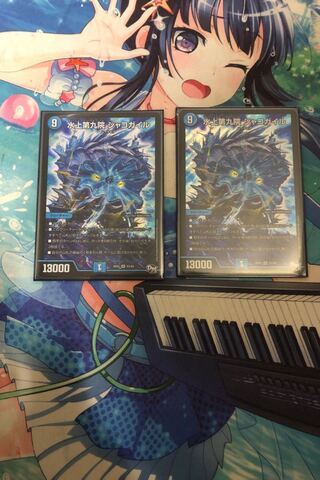 水上第九院 シャコガイル2枚セット