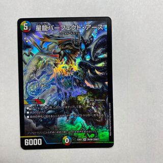 星龍パーフェクトアース