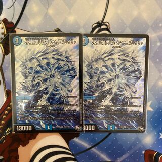 水上第九院 シャコガイル