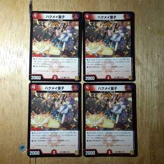 Haku Rosa Doji Set of 4