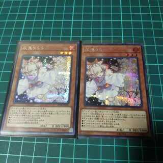 遊戯王 灰流うらら シークレット 2枚