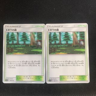 トキワの森 U 2枚セット