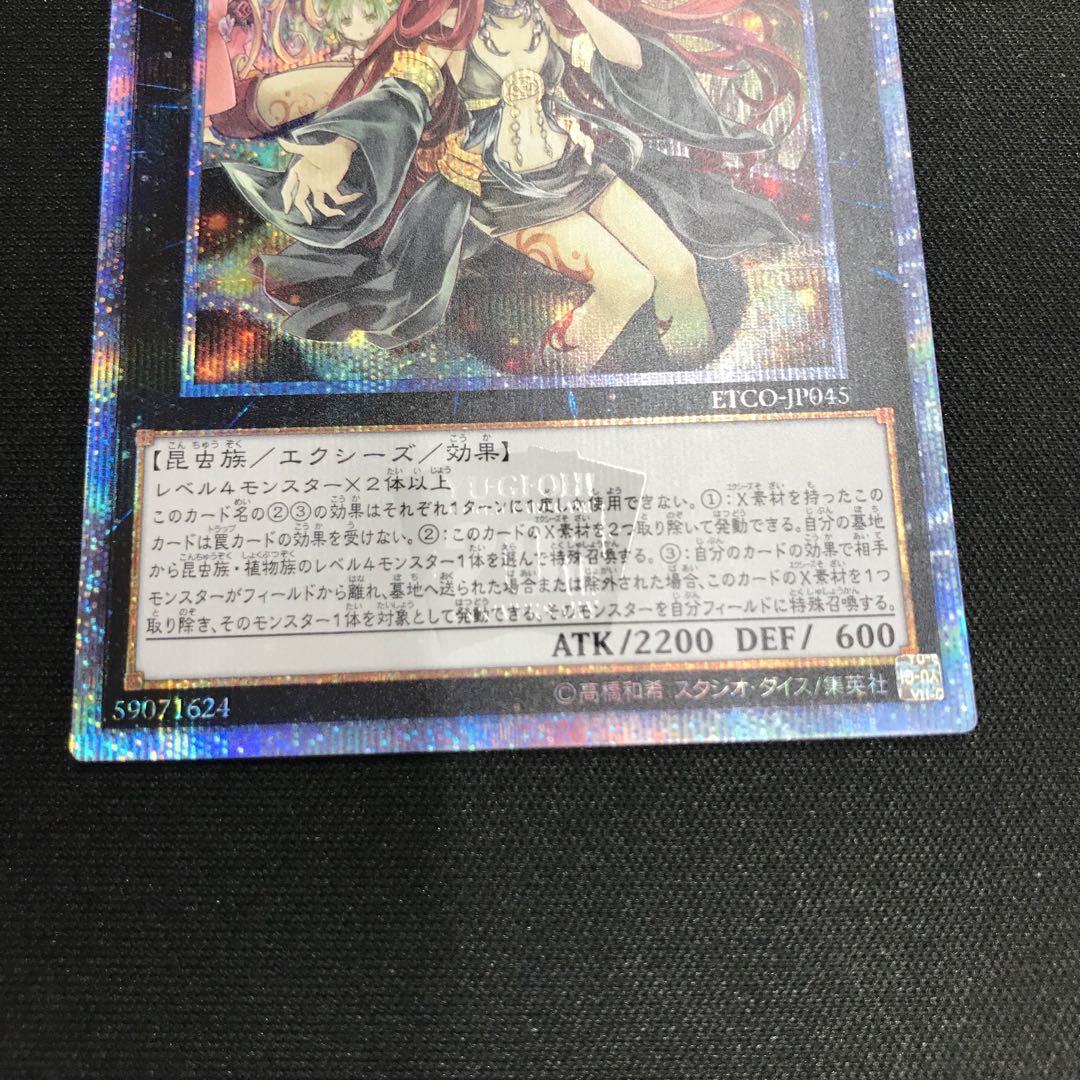 アロメルスの蟲惑魔 20thシークレットレア