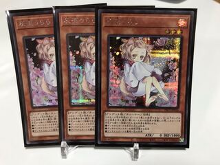 Ash Blossom & Joyous Spring Secret 3-card beautiful set