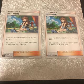 サポート・ブルーの探索☆2枚セット