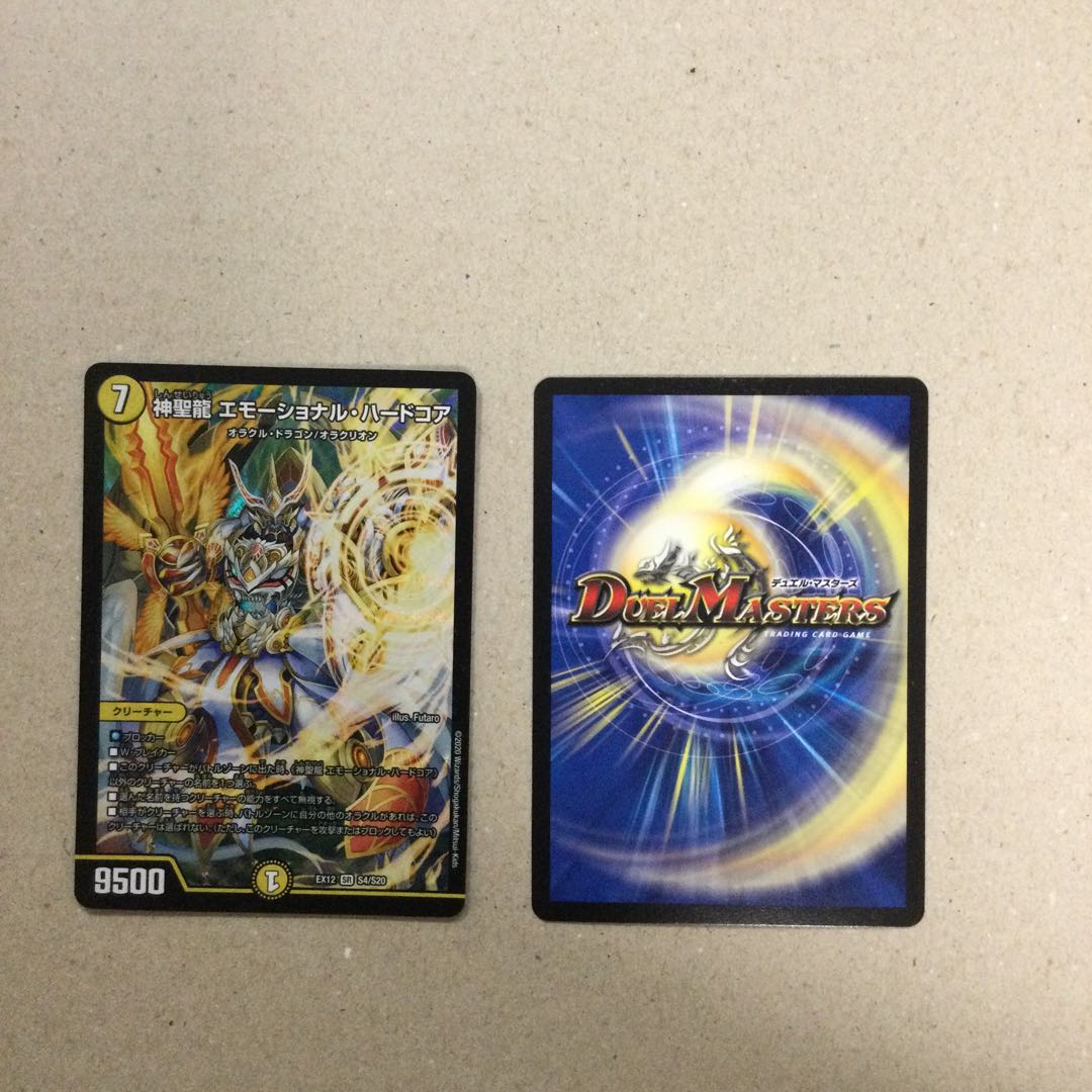 神聖龍 エモーショナル・ハードコア