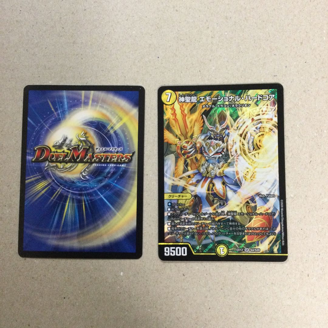 神聖龍 エモーショナル・ハードコア