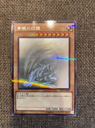 青眼の白龍