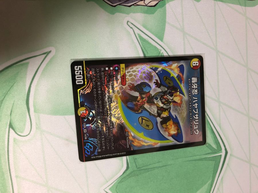 美品 ハヤブサリュウ