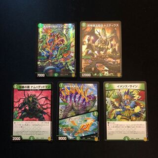 Imen-Boaro, a suprachaete iridescent eye.