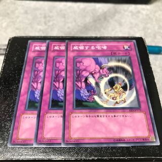 威嚇する咆哮 ノーマル3枚