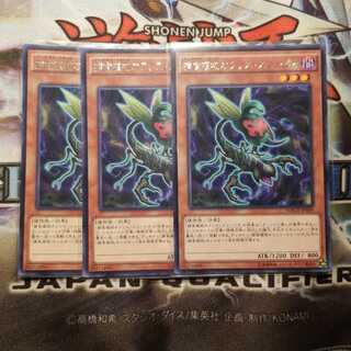 【願い事】捕食植物オフリス・スコーピオ 3枚