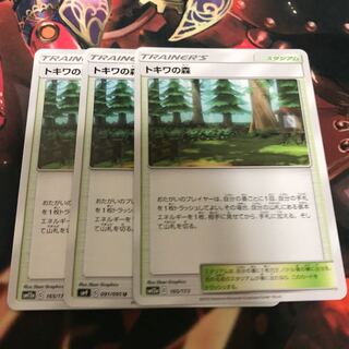 トキワの森 【3枚セット】