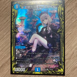 Waterjo Ninth Institute Shakogair (20th Rare Spec.)