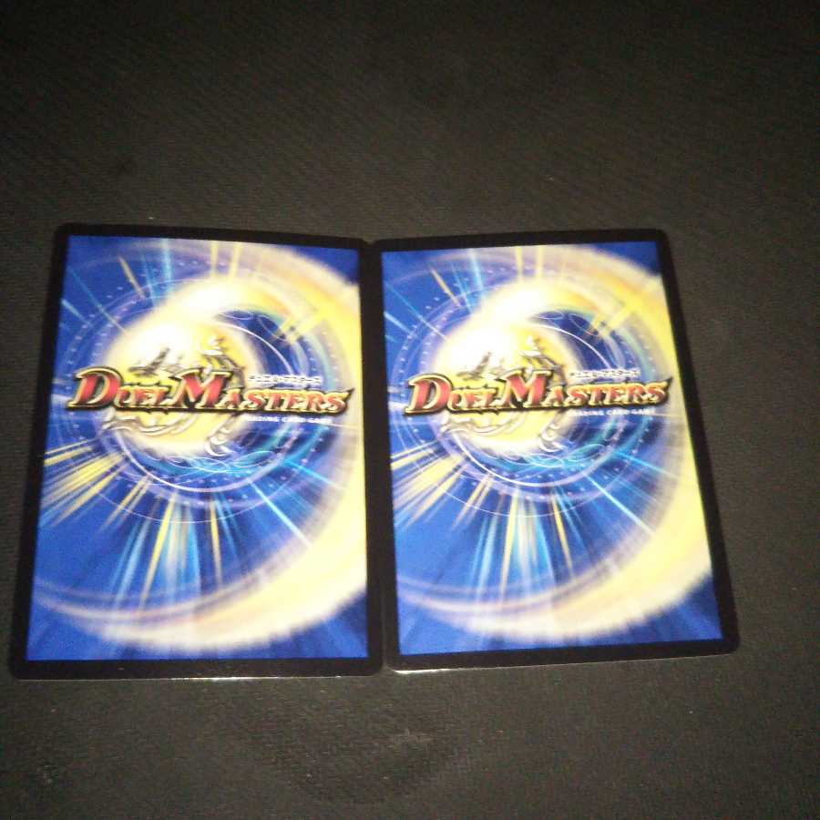 海姫龍 ライベルモット・ビターズ ２枚