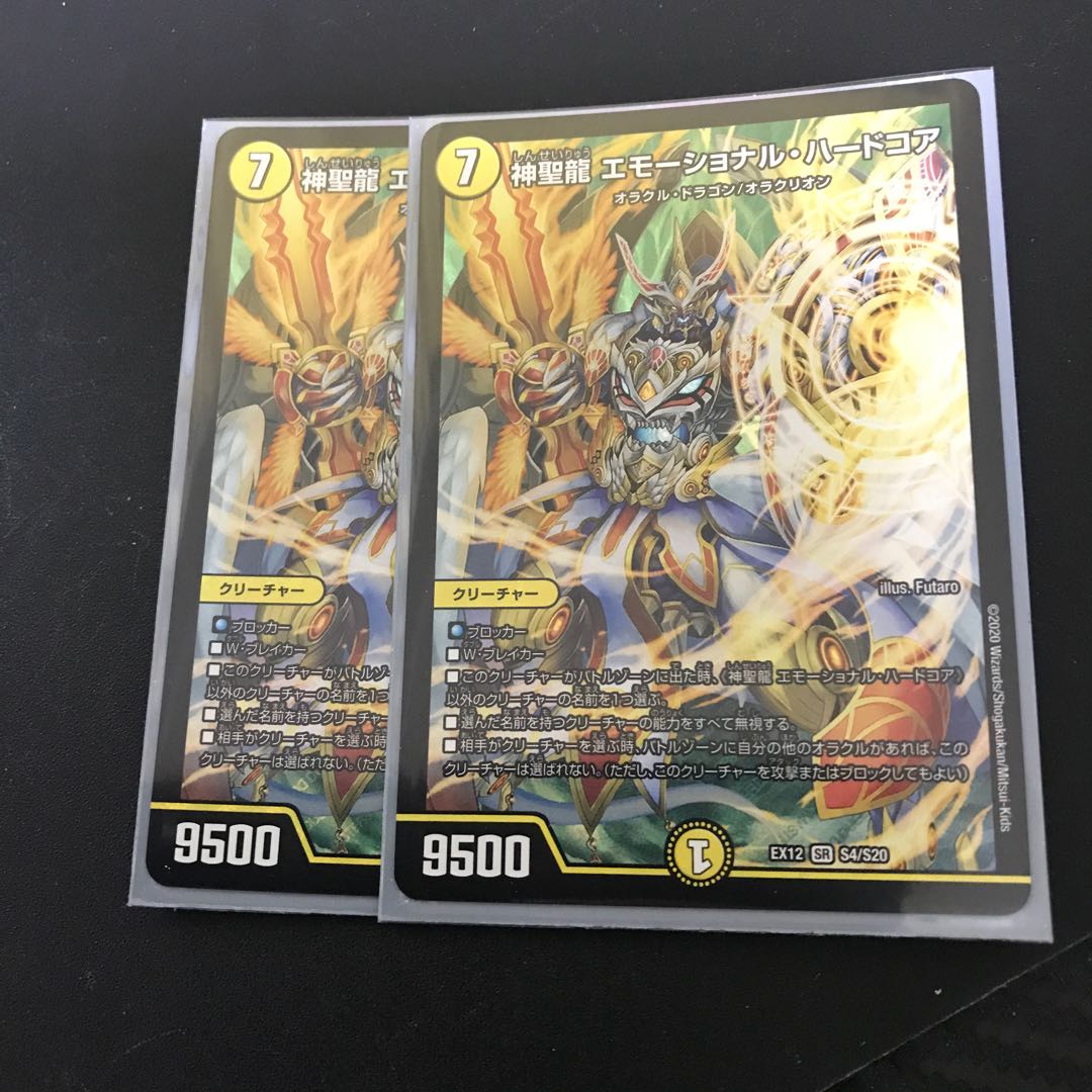 神聖龍 エモーショナル・ハードコア