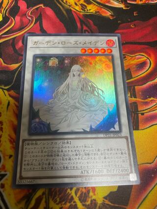 ガーデン・ローズ・メイデン ウルトラレア
