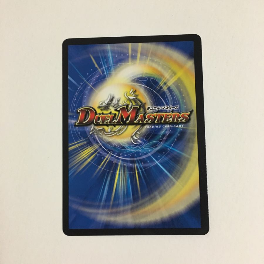 野村様専用 1枚