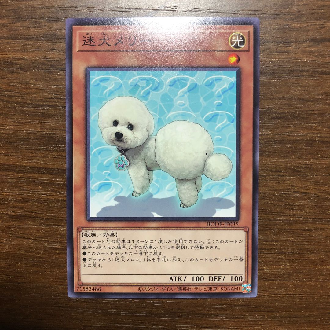 迷犬メリー ノーマルレア