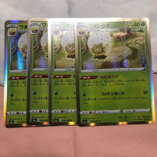 ワタシラガ R 4枚