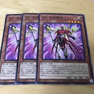 ZS-武装賢者 ノーマル　Hulu