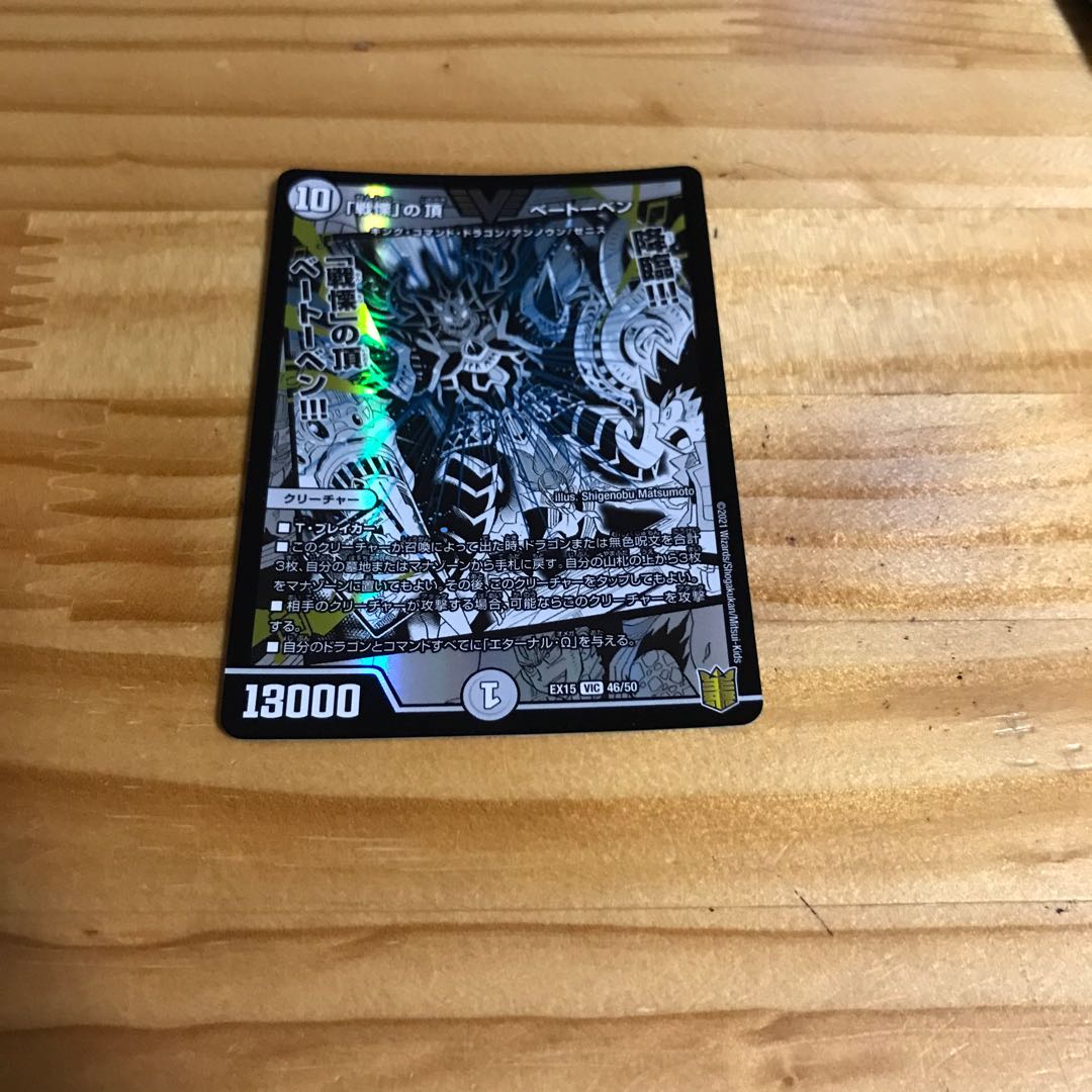 「戦慄」の頂 ベートーベン VIC