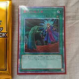 遊戯王 墓穴の指名者