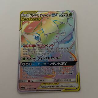 フシギバナ＆ツタージャGX HR