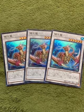 瑚之龍 スーパーレア3枚