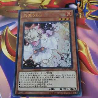 灰流うららと無限泡影　タクッチさん専用