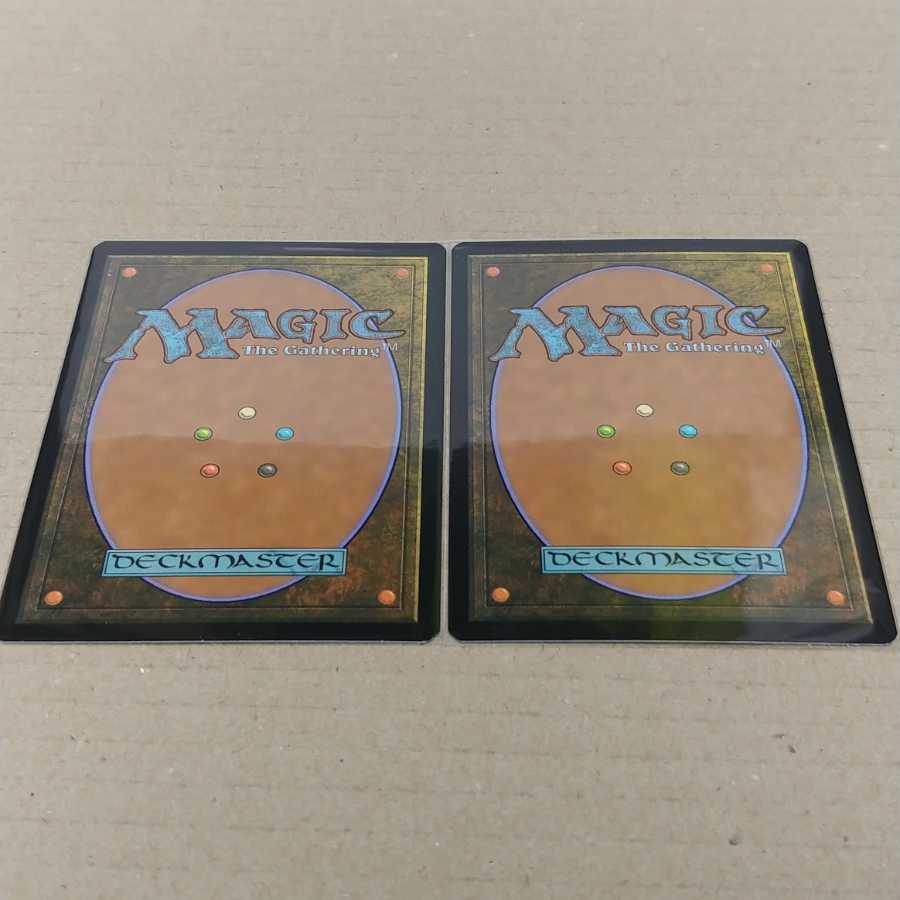 王冠泥棒、オーコ　拡張枠２枚セット